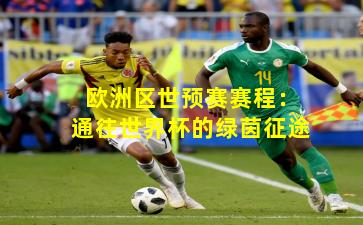 欧洲区世预赛赛程：通往世界杯的绿茵征途