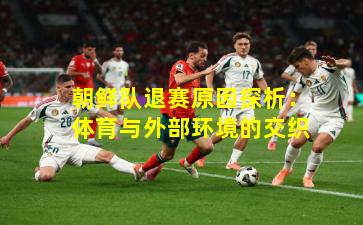 朝鲜队退赛原因探析:体育与外部环境的交织