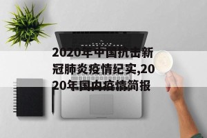 2020年中国抗击新冠肺炎疫情纪实,2020年国内疫情简报