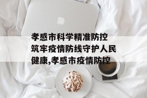 孝感市科学精准防控 筑牢疫情防线守护人民健康,孝感市疫情防控